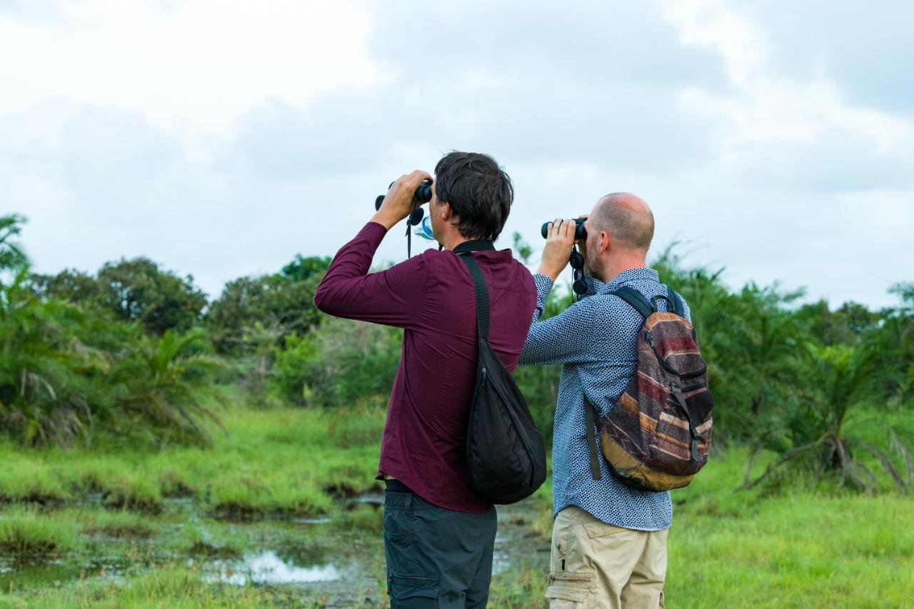 Tamba Kuruba Eco-Lodge Folonko Ngoại thất bức ảnh