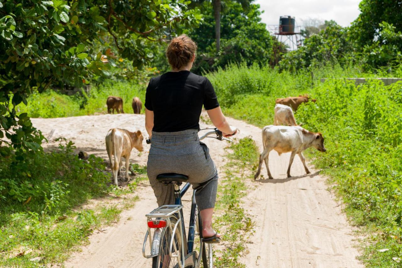 Tamba Kuruba Eco-Lodge Folonko Ngoại thất bức ảnh